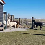 Aan de Waterspiegel